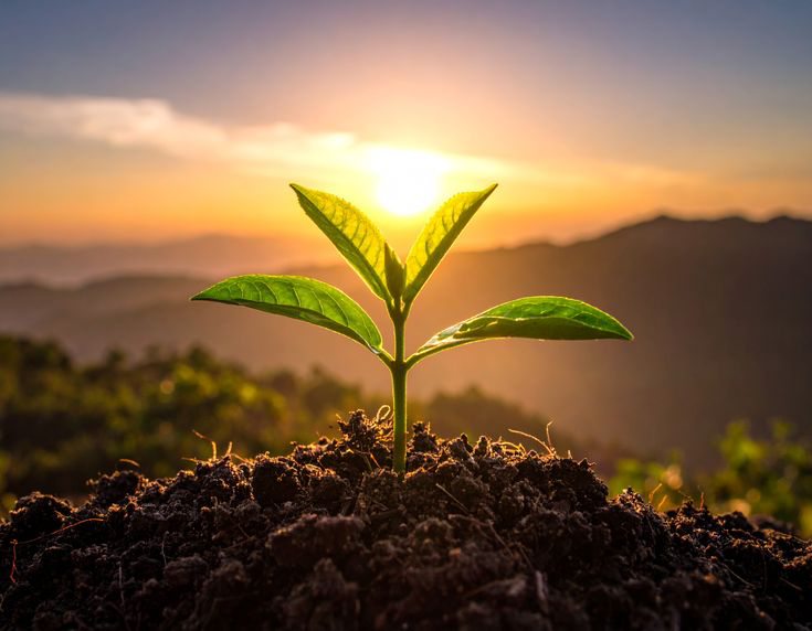 Cost Savings & Carbon Footprint